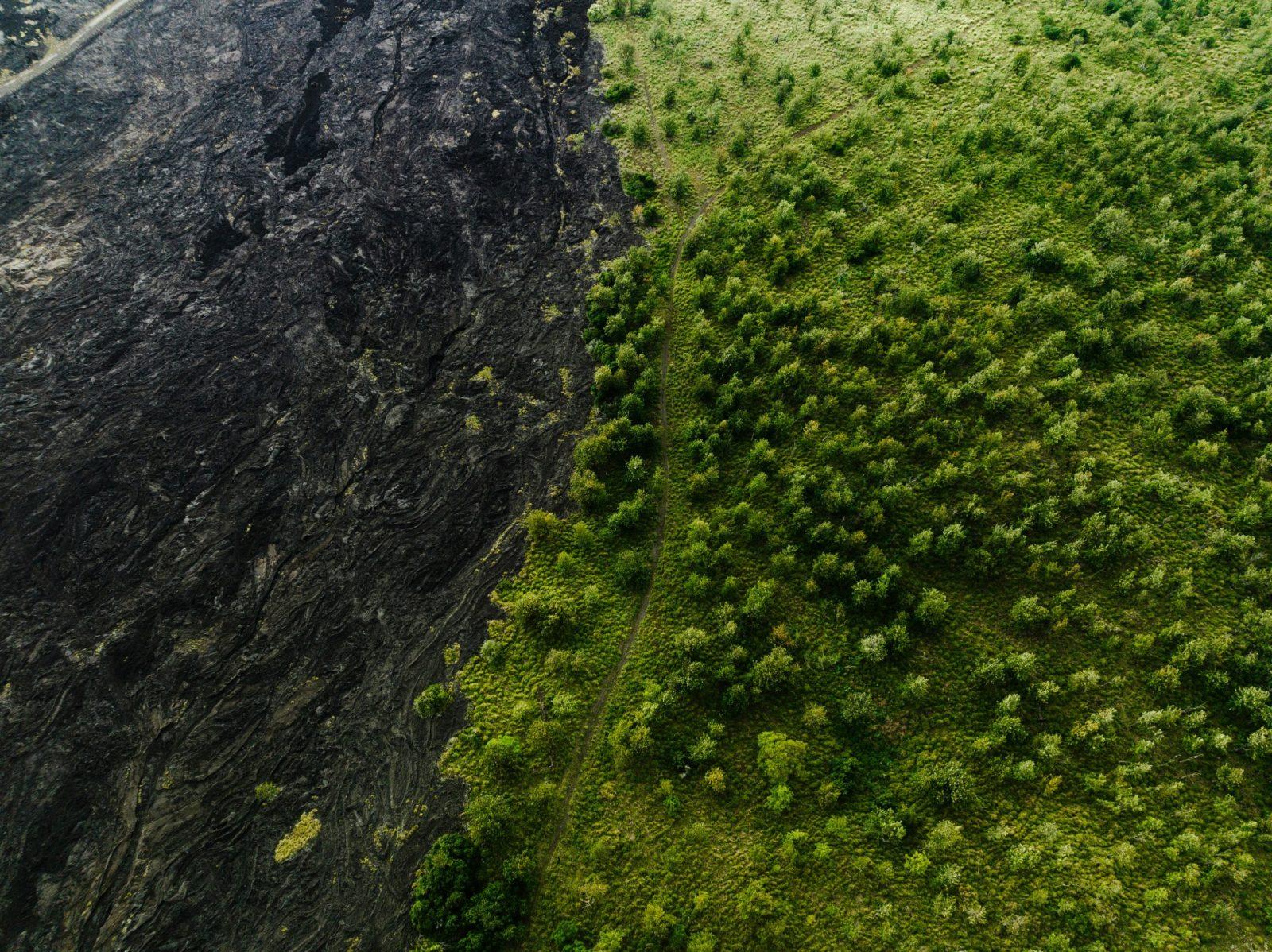 josh-withers-SvoJv1hNoT0-unsplash(1)