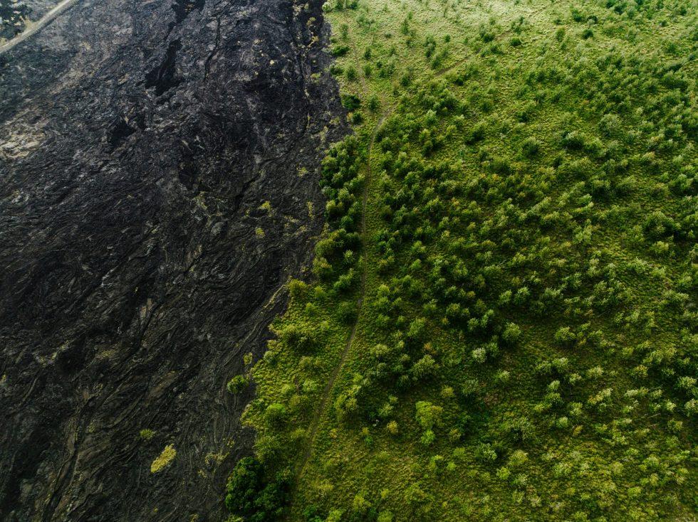 josh-withers-SvoJv1hNoT0-unsplash(1)